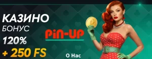 pin-up-casino-about-us