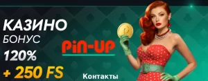 pin-up-casino-contacts